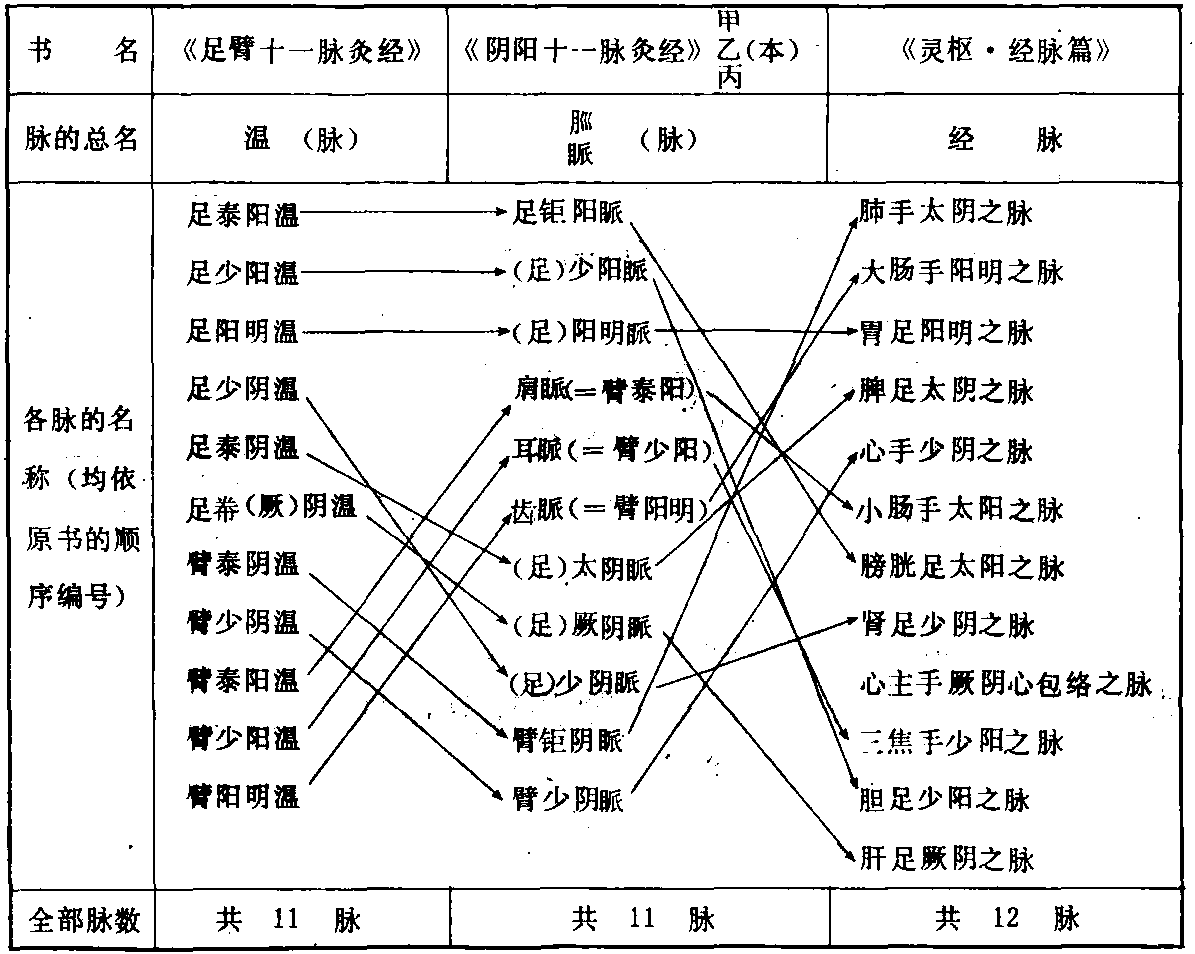 一、脉的名称、数目和排列次序